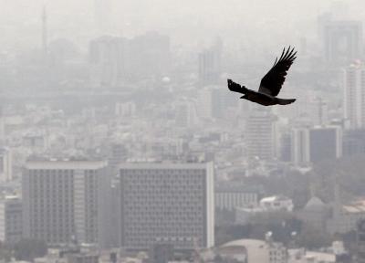 کدام مناطق تهران آلوده ترین آب و هوا را دارند؟