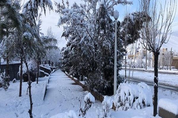 البرز برفی می شود البرز برفی می شود