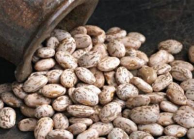 معرفی لوبیا چیتی و خواص درمانی آن