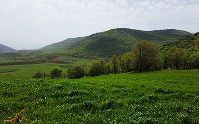 جنگل نای انگیز، بهشت واقعی استان لرستان